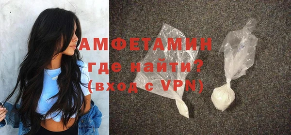 шишки Сатка