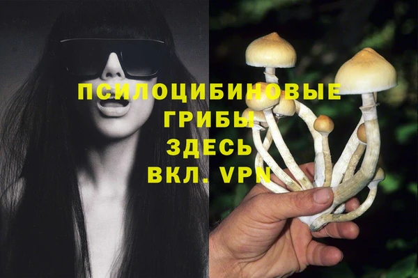 трава Сафоново