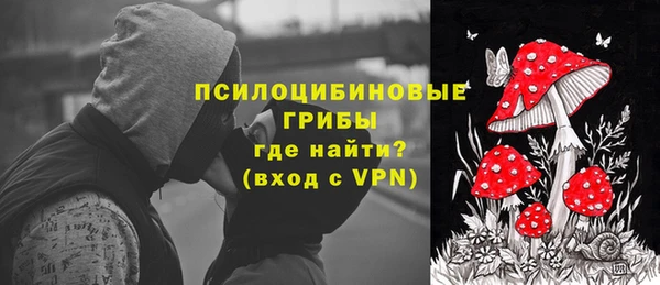соль ск Абаза