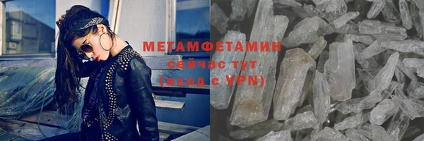 шишки Сатка