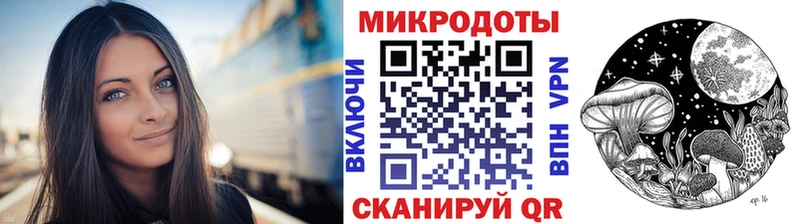 Псилоцибиновые грибы Cubensis Абаза