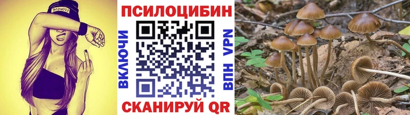 Псилоцибиновые грибы Magic Shrooms  blacksprut вход  Абаза 